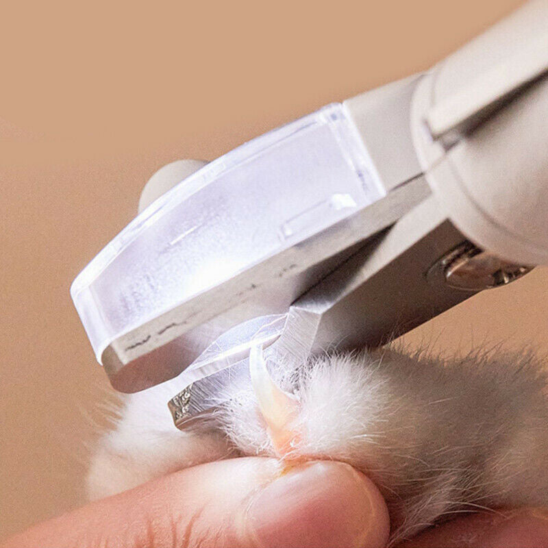 LED PET NAIL CLIPPER